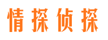 根河婚外情调查取证